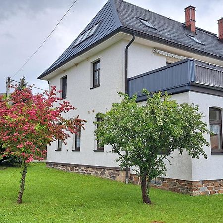 Ferienwohnungen Reiterhof Lienemann Grünbach 외부 사진